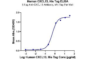 Immobilized Anti-CXCL13 Antibody, hFc Tag at 5 μg/mL (100 μL/well) on the plate.