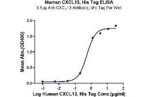 Immobilized Anti-CXCL13 Antibody, hFc Tag at 5 μg/mL (100 μL/well) on the plate. (CXCL13 Protein (AA 23-109) (His-SUMO Tag))