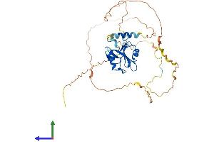 AlphaFold protein structure predicition of Mouse Recombinant Sh2d2a Protein, UniprotID Q9QXK9