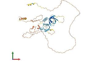 AlphaFold protein structure predicition of Mouse Recombinant D7h11orf16 Protein, UniprotID Q9JJR6 (D7h11orf16 Protein (AA 1-402) (His tag))