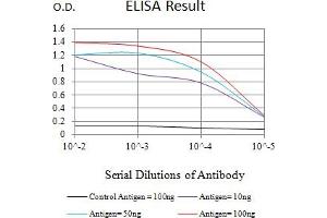 Black line: Control Antigen (100 ng),Purple line: Antigen (10 ng), Blue line: Antigen (50 ng), Red line:Antigen (100 ng) (FSHR antibody  (AA 18-366))