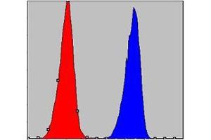 Flow cytometric analysis of A549 cells using CHUK mouse mAb (blue) and negative control (red). (IKK alpha antibody)