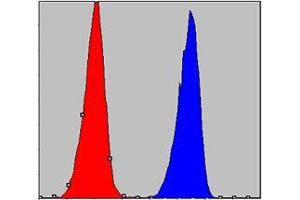 Flow cytometric analysis of A549 cells using CHUK mouse mAb (blue) and negative control (red). (IKK alpha antibody)