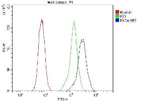 Flow Cytometry analysis of CACO-2 cells using anti- Retinoid X Receptor alpha/RXRA antibody (ABIN7600721). (Retinoid X Receptor alpha antibody  (AA 226-462))