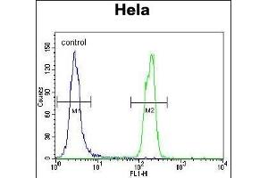 SUMO1 Antibody (N-term E67) (ABIN1882137 and ABIN2845494) flow cytometric analysis of Hela cells (right histogram) compared to a negative control cell (left histogram). (SUMO1 antibody  (N-Term))