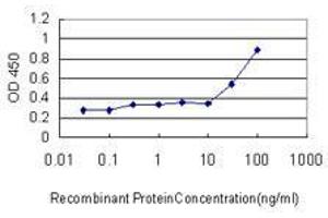 Detection limit for recombinant GST tagged RUNX2 is approximately 0.