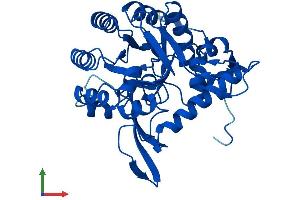 AlphaFold protein structure predicition of Human Recombinant GMPR Protein, UniprotID P36959