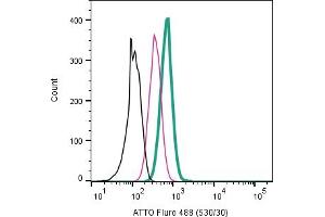 Cell surface detection of P2RX7 in intact live human  monocytic leukemia cells: + Rabbit IgG Isotype Control-ATTO Fluor-488 (ABIN7582041) .