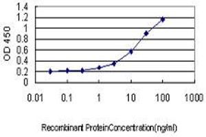 Detection limit for recombinant GST tagged HAVCR1 is approximately 1ng/ml as a capture antibody. (HAVCR1 antibody  (AA 23-122))
