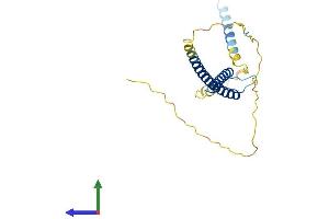AlphaFold protein structure predicition of Human Recombinant MXD1 Protein, UniprotID Q05195 (MXD1 Protein (AA 1-221) (His tag))