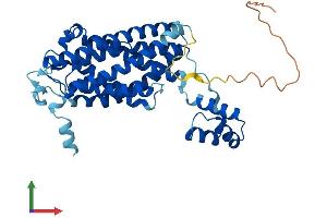 Protein Structure (PS) image for Ceramide Synthase 2 (CERS2) (AA 1-380) protein (His tag) (ABIN7553313)