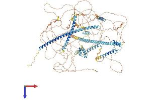 Gse1 coiled-coil protein (GSE1) (AA 1-1217) protein (His tag)