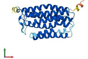 AlphaFold protein structure predicition of Human Recombinant MMD Protein, UniprotID Q15546 (MMD Protein (AA 1-238) (His tag))