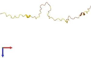 AlphaFold protein structure predicition of Human Recombinant KRTAP19-3 Protein, UniprotID Q7Z4W3