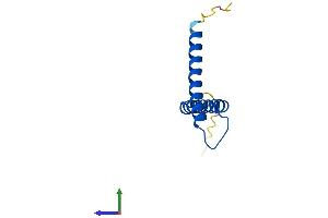 Protein Structure (PS) image for Translocase of Inner Mitochondrial Membrane 8A (TIMM8A) (AA 1-97) protein (His tag) (ABIN7544507)