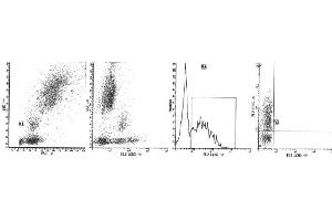 Image no. 1 for anti-CD38 antibody (PE) (ABIN1106334) (CD38 antibody  (PE))