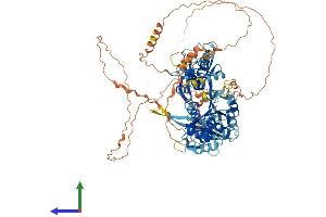 Protein Structure (PS) image for Tight Junction Protein 3 (Zona Occludens 3) (TJP3) (AA 1-919) protein (His tag) (ABIN7545771)