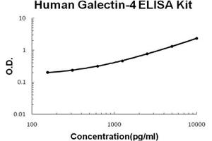 Human Galectin-4 PicoKine ELISA Kit standard curve