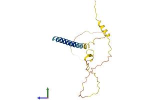 AlphaFold protein structure predicition of Mouse Recombinant Fam163b Protein, UniprotID Q8BUM6 (FAM163B Protein (AA 1-167) (His tag))