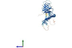 Protein Structure (PS) image for Tripartite Motif Containing 7 (TRIM7) (AA 1-511) protein (His tag) (ABIN7544748)