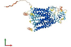 AlphaFold protein structure predicition of Mouse Recombinant Slco2a1 Protein, UniprotID Q9EPT5