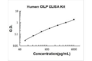 Cartilage Intermediate Layer Protein, Nucleotide Pyrophosphohydrolase (CILP) ELISA Kit