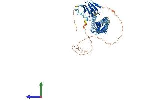 AlphaFold protein structure predicition of Mouse Recombinant Rnf8 Protein, UniprotID Q8VC56 (RNF8 Protein (AA 1-488) (His tag))