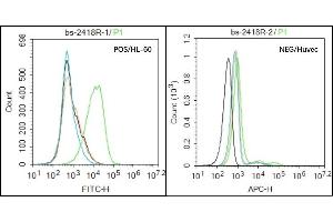 HL-60 (Positive) and huvec (Negative control) cells (black) were incubated in 5% BSA blocking buffer for 30 min at room temperature. (NCR3 antibody  (AA 81-180))