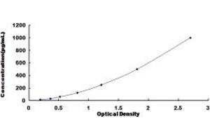 Typical standard curve (CXCL5 ELISA Kit)