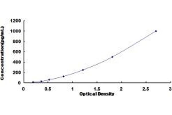 CXCL5 ELISA Kit