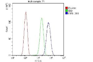 Flow Cytometry analysis of U20S cells using anti-EIF6 antibody (ABIN6719594). (EIF6 antibody  (AA 66-210))