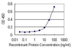 Detection limit for recombinant GST tagged TRIM47 is 1 ng/ml as a capture antibody. (TRIM47 antibody  (AA 539-638))