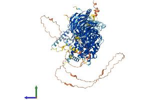 AlphaFold protein structure predicition of Human Recombinant RPTOR Protein, UniprotID Q8N122 (Raptor Protein (AA 1-1335) (His tag))