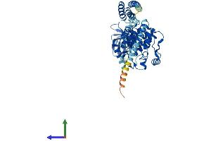 AlphaFold protein structure predicition of Human Recombinant ULK3 Protein, UniprotID Q6PHR2