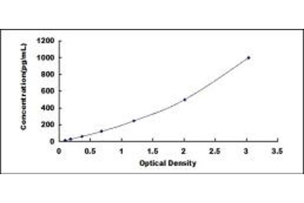 SEMA3A ELISA Kit