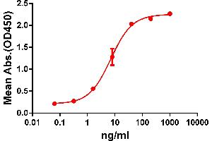 ELISA plate pre-coated by 2 μg/ml (100 μl/well) Human GPRC5D protein, hFc-His tagged protein (ABIN6961124) can bind Rabbit anti-GPRC5D monoclonal antibody (6964057) in a linear range of 1-100 ng/ml.