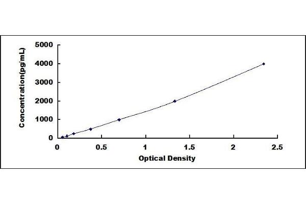 CYR61 ELISA Kit