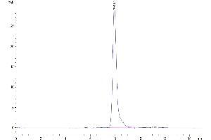 The purity of Mouse AMIGO2 is greater than 95 % as determined by SEC-HPLC.