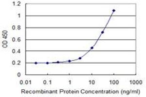 Detection limit for recombinant GST tagged SENP8 is 0. (SENP8 antibody  (AA 113-212))