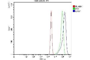 Flow Cytometry analysis of K562 cells using anti-ENO1 antibody (ABIN7601902).
