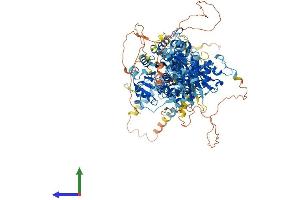 AlphaFold protein structure predicition of Human Recombinant KCNU1 Protein, UniprotID A8MYU2