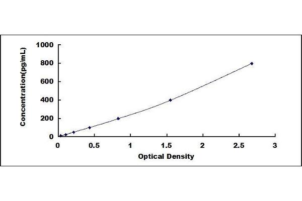 CALB1 ELISA Kit