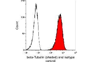 Flow Cytometry (FACS) image for anti-Tubulin, beta (TUBB) (AA 1-50) antibody (ABIN7453995) (Recombinant TUBB antibody  (AA 1-50))