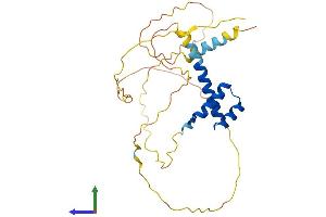 Protein Structure (PS) image for Paired-Like Homeobox 2a (PHOX2A) (AA 1-284) protein (His tag) (ABIN7550755)