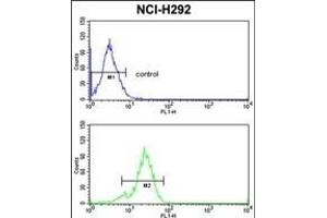 TDG Antibody (N-term) (ABIN390559 and ABIN2840890) flow cytometric analysis of NCI- cells (bottom histogram) compared to a negative control cell (top histogram). (TDG antibody  (N-Term))