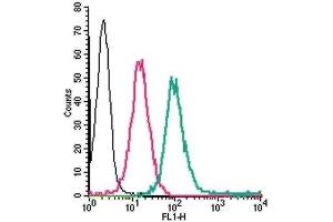 Cell surface detection of ADORA2A in live intact human THP-1 monocytic leukemia cells: (black line) Cells. (Adenosine A2a Receptor antibody  (Extracellular) (FITC))