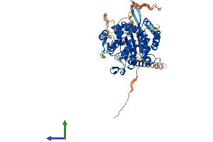AlphaFold protein structure predicition of Human Recombinant DNAAF3 Protein, UniprotID Q8N9W5 (DNAAF3 Protein (AA 1-541) (His tag))