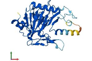 AlphaFold protein structure predicition of Mouse Recombinant Phyhd1 Protein, UniprotID Q9DB26 (PHYHD1 Protein (AA 1-291) (His tag))