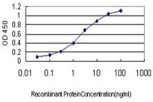 Detection limit for recombinant GST tagged GNGT2 is approximately 0. (GNGT2 antibody  (AA 1-69))