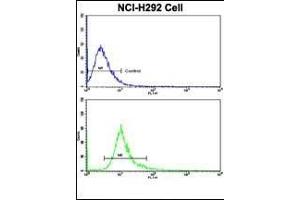 Flow cytometric analysis of NCI- cells using DCXR Antibody (Center)(bottom histogram) compared to a negative control cell (top histogram).